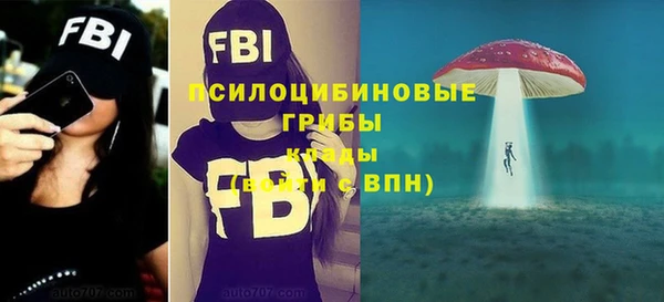 бошки Алзамай