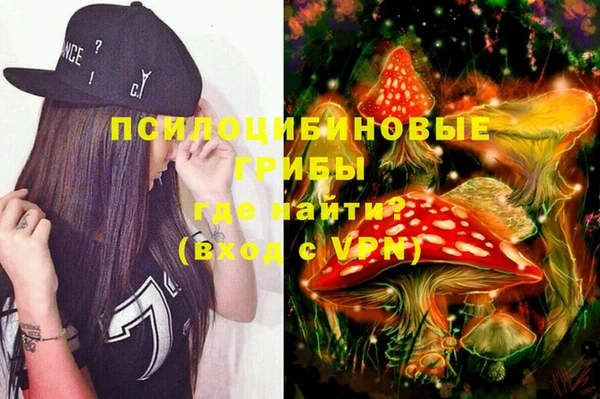 бошки Алзамай