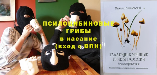 бошки Алзамай