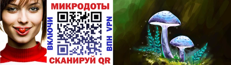 Псилоцибиновые грибы Psilocybine cubensis  Чебаркуль 