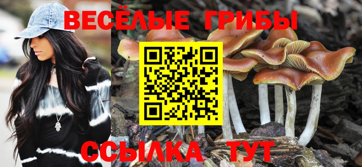 Галлюциногенные грибы Cubensis  Галлюциногенные грибы Psilocybine cubensis  Чебаркуль  Вход с VPN 